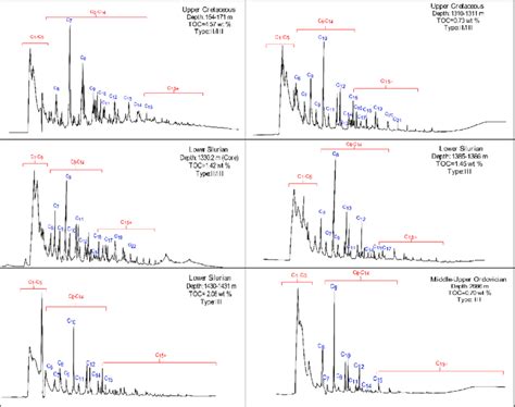 Py Gc Chromatogram Of Some Represented Samples Download Scientific