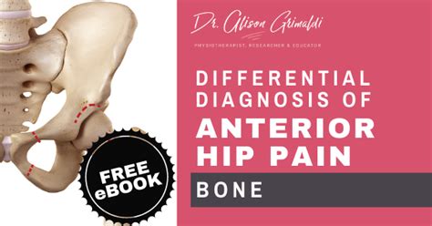 Differential Diagnosis Of Anterior Hip Pain Bone Dr Alison Grimaldi