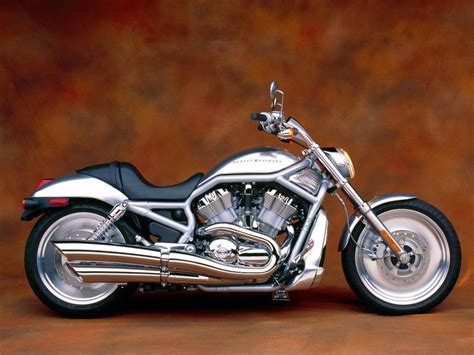 2005 Harley Davidson Vrscb V Rod Motozombdrivecom