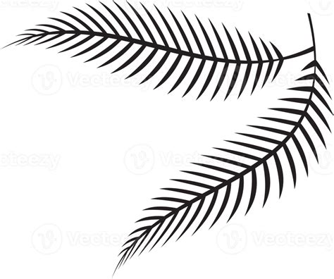 Abstract Minimalist Fern Logo Pngs For Free Download