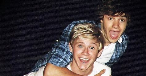 A Reddit Users Eerily Prescient Comment On Liam Payne At Niall Horans