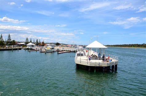 gippsland  wanderer