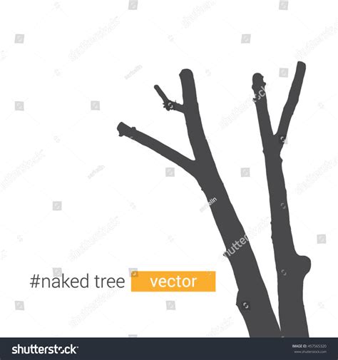 Vector Silhouette Naked Fall Trees Design Stock Vector Royalty Free 457565320 Shutterstock
