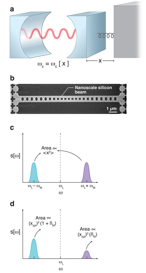 Physics - Seeing the “Quantum” in Quantum Zero-Point Fluctuations