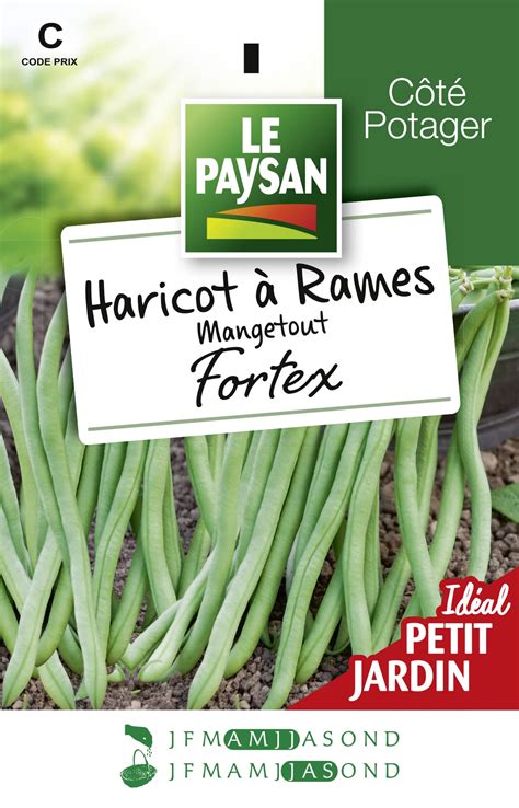 HARICOT A RAMES MANGETOUT FORTEX Le Paysan Semences Et