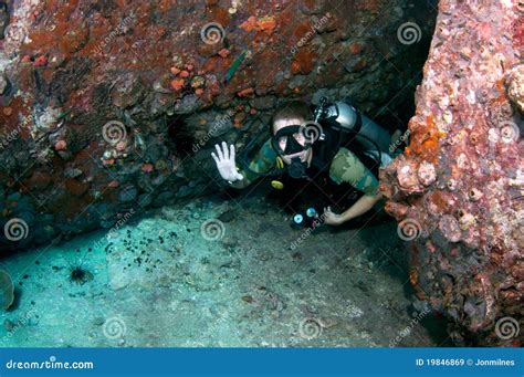 Scuba Diver Stock Image Image Of Ocean Environment 19846869