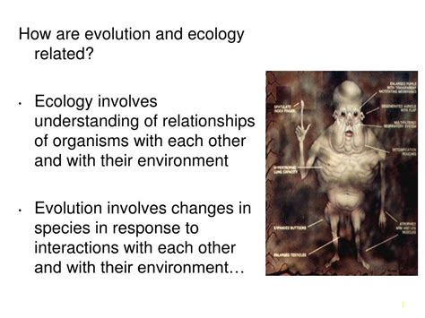 evolution  ecology related ecology involves