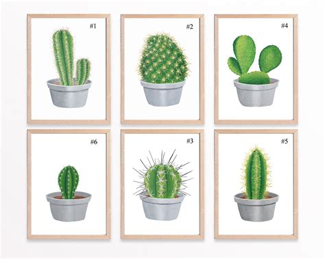 Printable Succulent Wall Art Cactus Art Prints Set Of 6 Prints