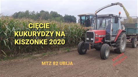 KOSZENIE KUKURYDZY NA KISZONKE 20202xMassey FergusonMTZ82Belarus