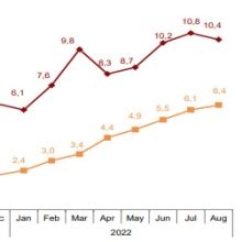 The Annual Change In The Flash Estimate Of The CPI Stands At 10 4 In