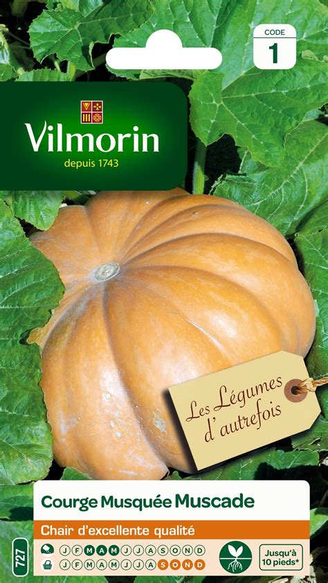 Courge Musquée Butternut Graines Bio Ferme de Sainte Marthe