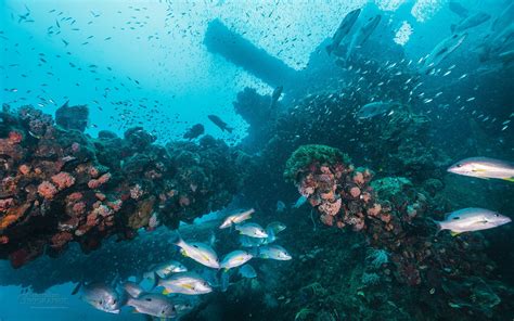 4 Infamous Shipwrecks Found On The Great Barrier Reef Australian