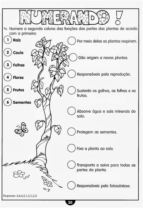 Educar X Atividades De Ciências 5° Ano Do Ensino Fundamental