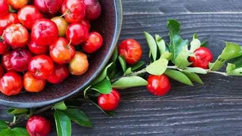 Camu Camu Vs Acerola Cherry Which Superfruit Is Right For You