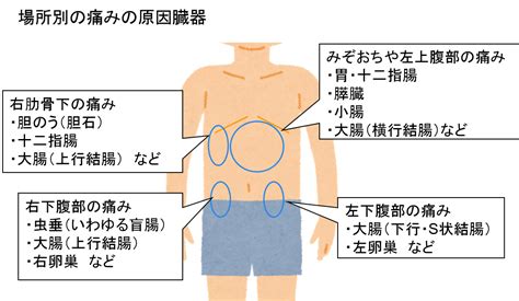 みぞおちの図