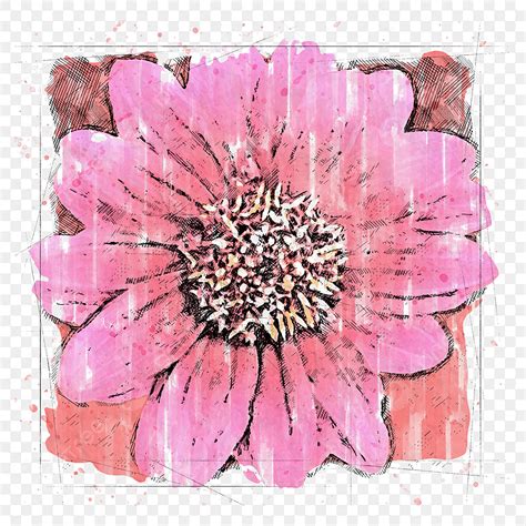 Pink Painted Flower PNG Picture Hand Painted Pink Flower Hand Drawn