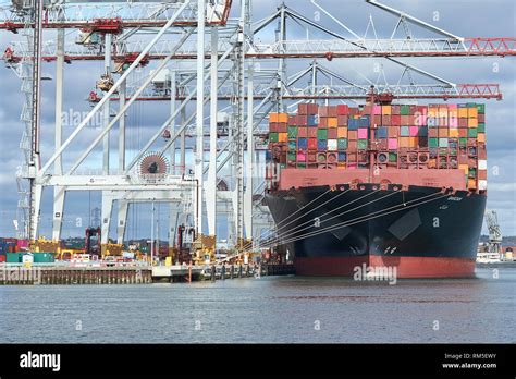 The Ultra Large Metre Uasc Container Ship Barzan Loading And