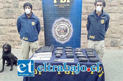 PDI de Los Andes incauta casi 800 millones de pesos en cocaína de alta