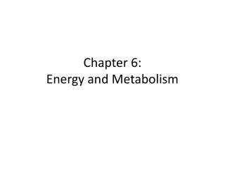 PPT CHAPTER 6 Energy Enzymes And Metabolism PowerPoint Presentation