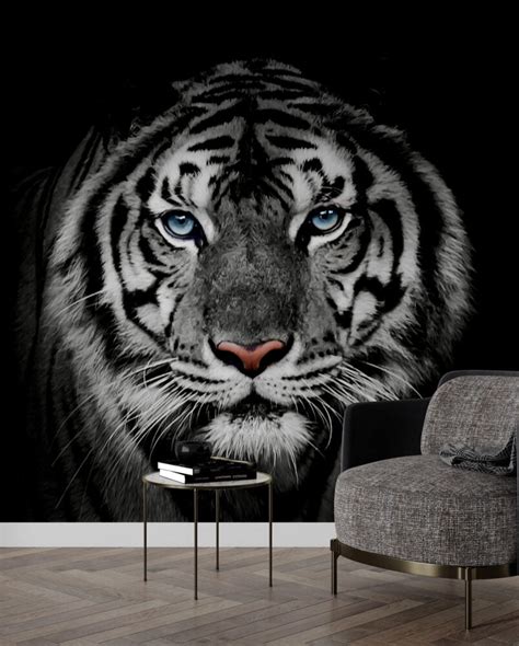 Tiger Wallpaper Mural In 3D Style | Silk Interiors Wallpaper Australia