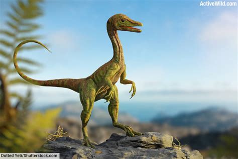 Compsognathus Facts Pictures A Small Jurassic Predatory Dinosaur