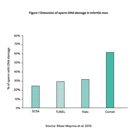 Exact Tests Powered By Spermcomet® Sperm Dna Analysis Examen