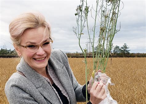 New Usask Disease Detection Tool May Save Millions For Canola Industry