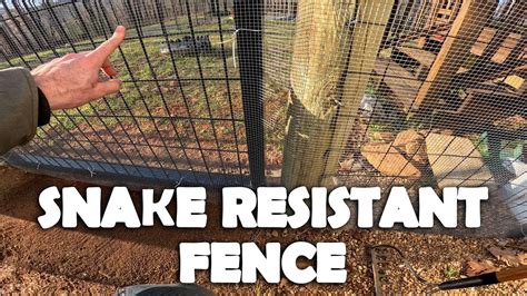 Building A Snake Resistant Fence Youtube