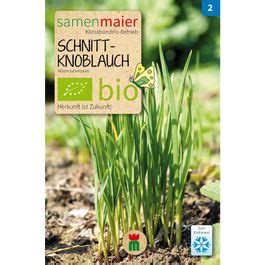 Bio Schnittknoblauch Saatgut für zirka 30 Pflanzen online kaufen