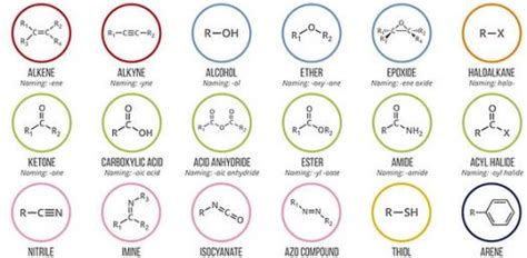 Functional Group Practice Worksheet Englishworksheet My Id