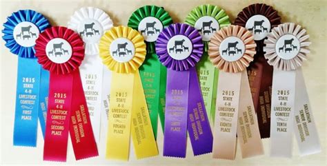 livestock show award ribbon Archives - McLaughlin Ribbon Awards