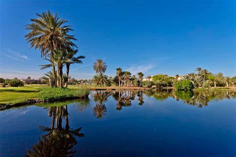 Pickalbatros Hôtel Du Golf | 5-Star Hotel in Marrakech