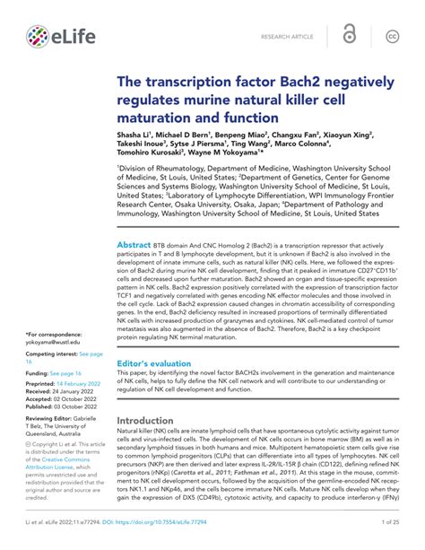 PDF The Transcription Factor Bach2 Negatively Regulates Murine