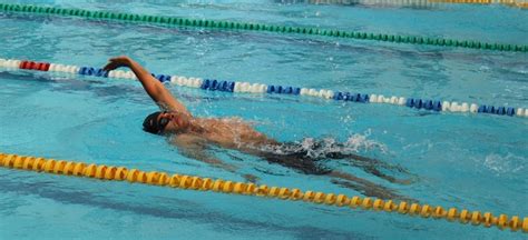 Gran competencia de natación se realizó en el marco del Festival