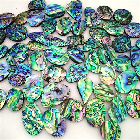 Beautiful Abalone Shell Cabochon Loose Gemstone Natural Paua Etsy