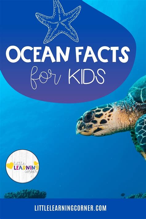 50 Fun Ocean Facts for Kids - Little Learning Corner