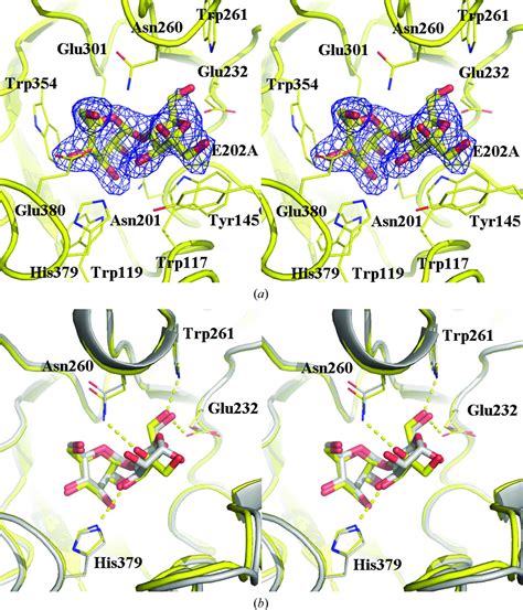 Iucr Structural Insights Into The Substrate Specificity And