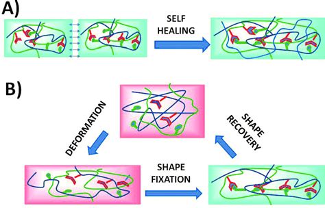 Schematic Representation Of A Self Healing And B Shape Memory