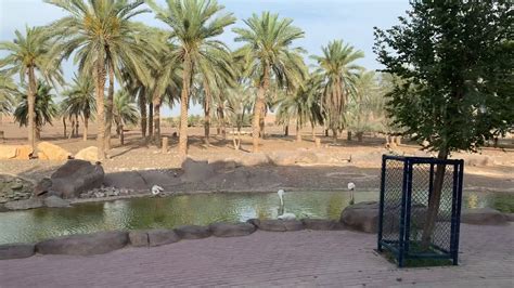 Sharjah Desert Park | Also known as Sharjah Zoo