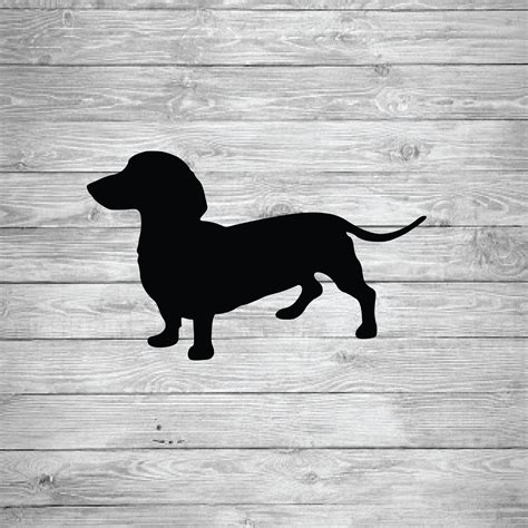 Dachshund Svg Cut File Svg Png  Dxf Psd Cricut Cut Files Etsy