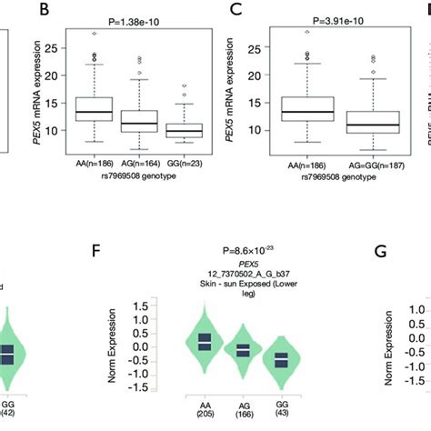 The Expression Quantitative Trait Loci Eqtl Analysis For Genotypes Of