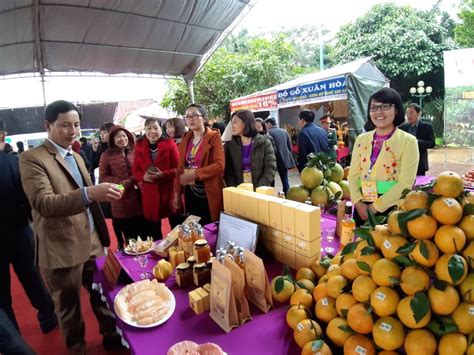 Thủ phủ cam Cao Phong Hòa Bình tưng bừng Lễ hội cây có múi