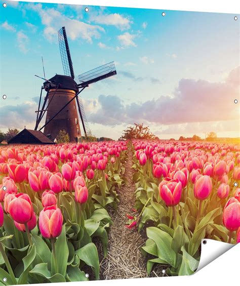 Gards Tuinposter Roze Tulpen Bloemenveld Met Windmolen X Cm