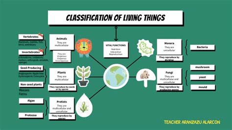 Classification Of Living Things Mindmap