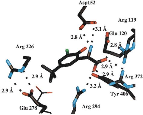 X Ray Crystal Structure Of Compound 2 Bound To An9 Neuraminidase The