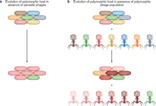 Crispr Evolves Among The Winners Nature Ecology Evolution X Mol