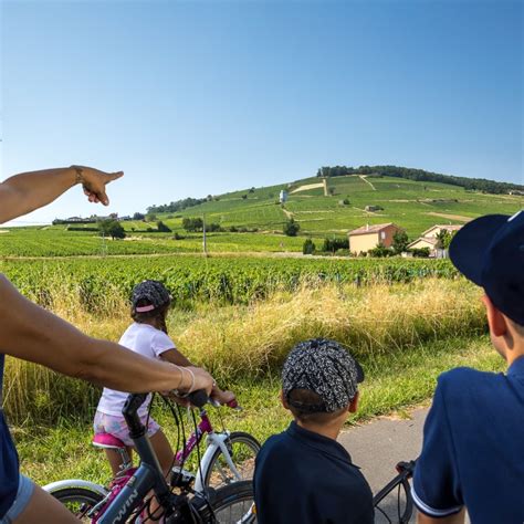 Beaujolais Villages - Beaujolais