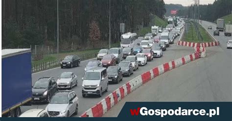 Kolejki przed bramkami na A1 w kierunku Gdańska wGospodarce pl