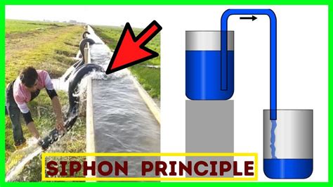 Incredible How Siphoning Irrigation Is Used In Agriculture Siphon