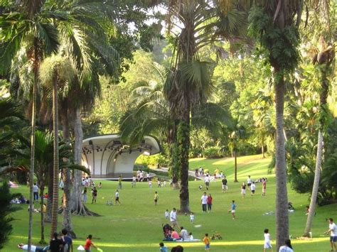 The Ultimate Guide To The Singapore Botanic Gardens